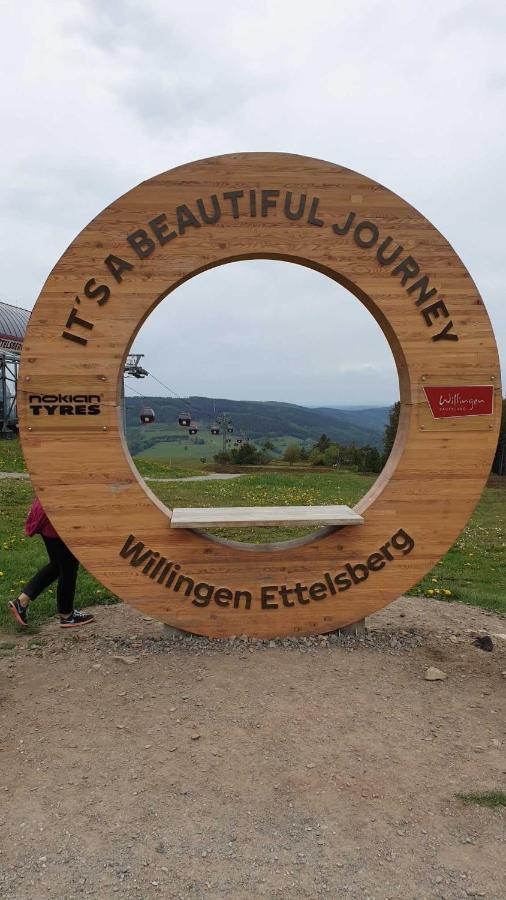 Ferienwohnung Mohnwiese Und Blumenwiese Willingen  Bagian luar foto
