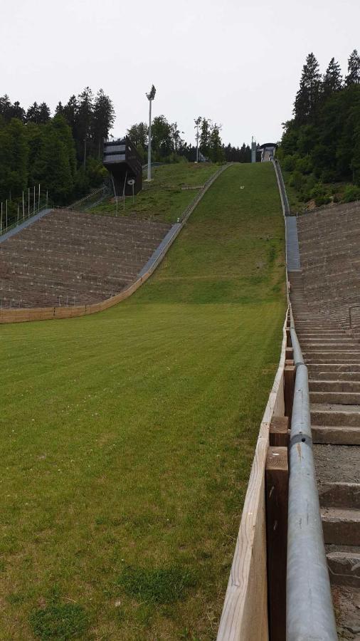 Ferienwohnung Mohnwiese Und Blumenwiese Willingen  Bagian luar foto