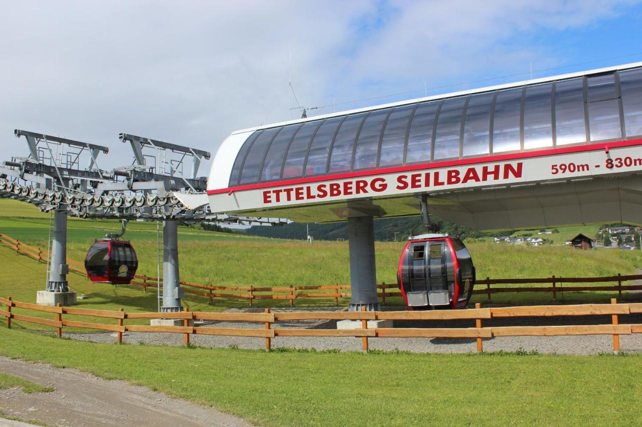 Ferienwohnung Mohnwiese Und Blumenwiese Willingen  Bagian luar foto