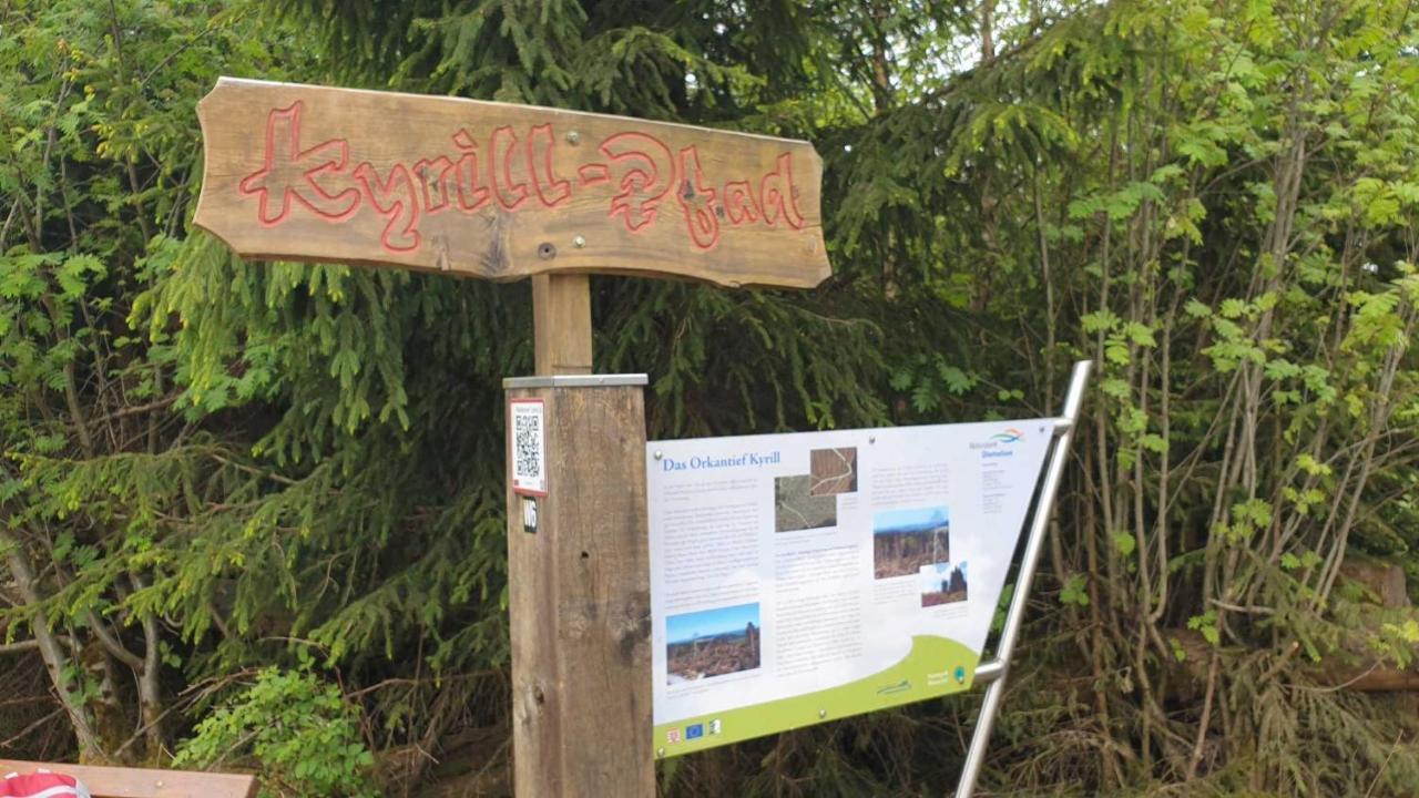 Ferienwohnung Mohnwiese Und Blumenwiese Willingen  Bagian luar foto